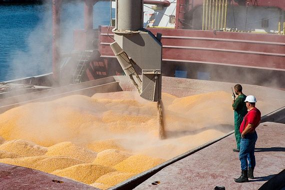 По данным Минсельхоза в России растет экспорт зерна
