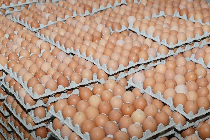 Правительство РФ утвердило беспошлинный импорт яиц в страну