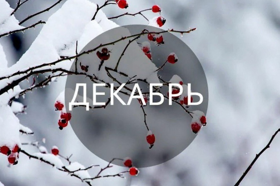 Какие законы ожидают россиян в декабре