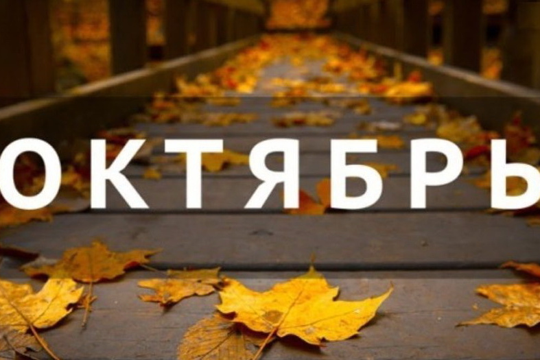 Какие законы вступят в силу в октябре