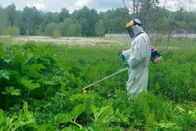 Сенаторы встали на защиту земли
