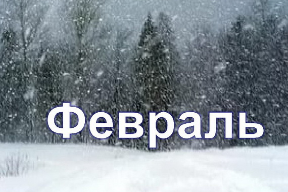 Какие российские законы вступят в силу в феврале